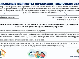 СОЦИАЛЬНЫЕ ВЫПЛАТЫ (СУБСИДИИ) МОЛОДЫМ СЕМЬЯМ